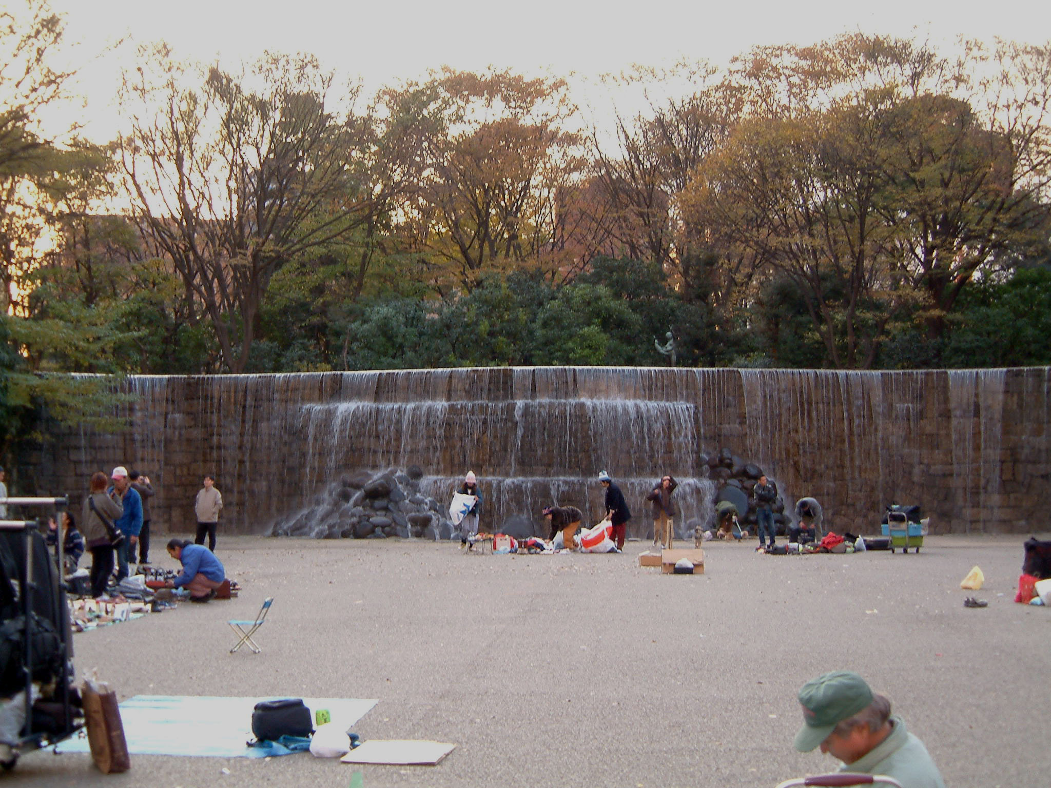 写真6（新宿中央公園）