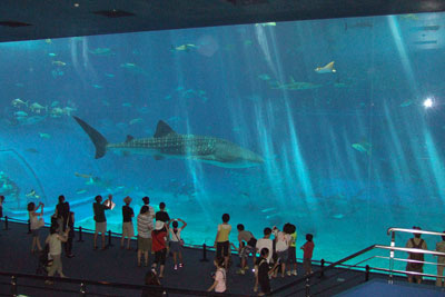 #25 沖縄美ら海水族館 (2008)