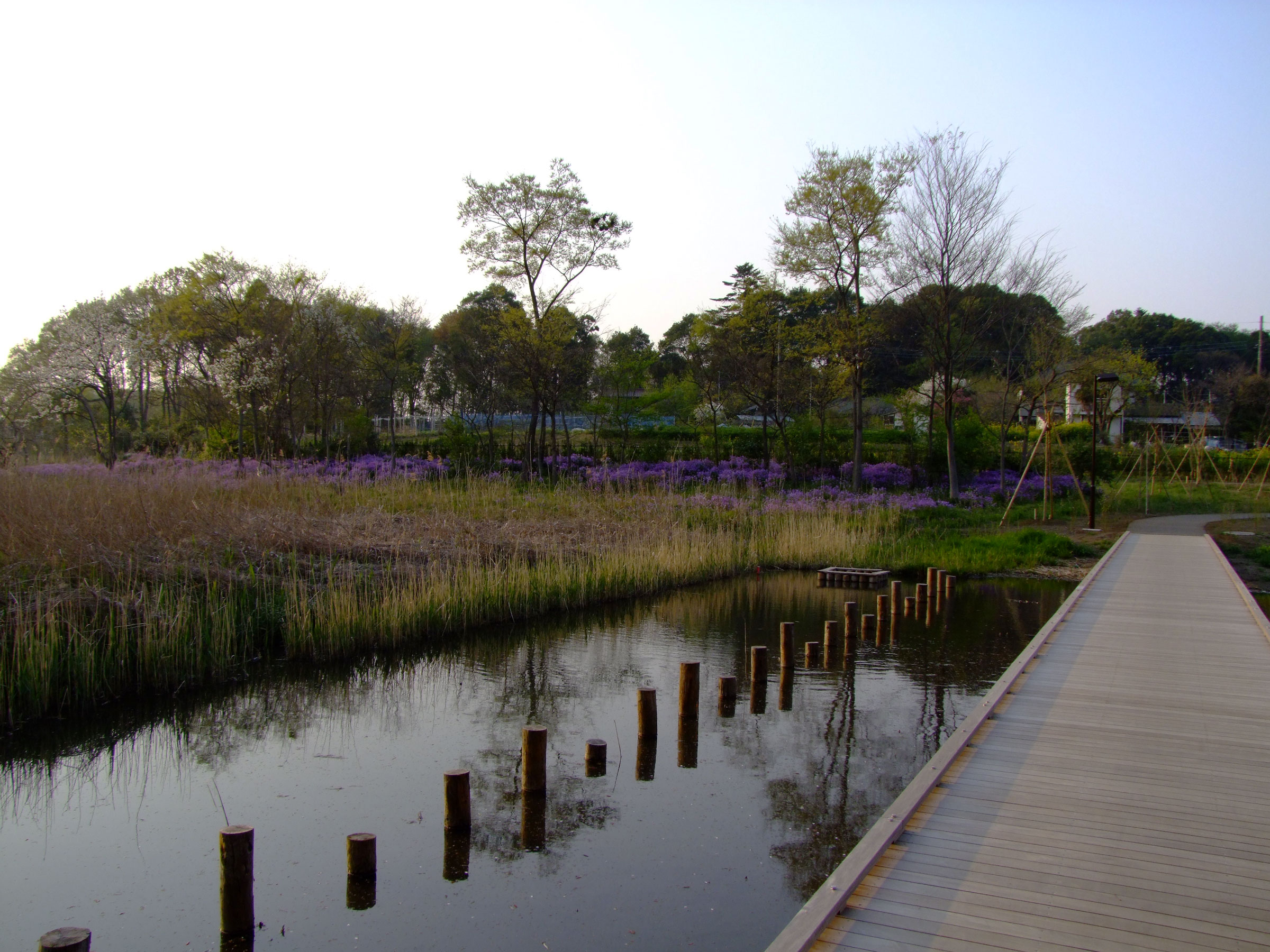 写真10（秋葉の森総合公園）