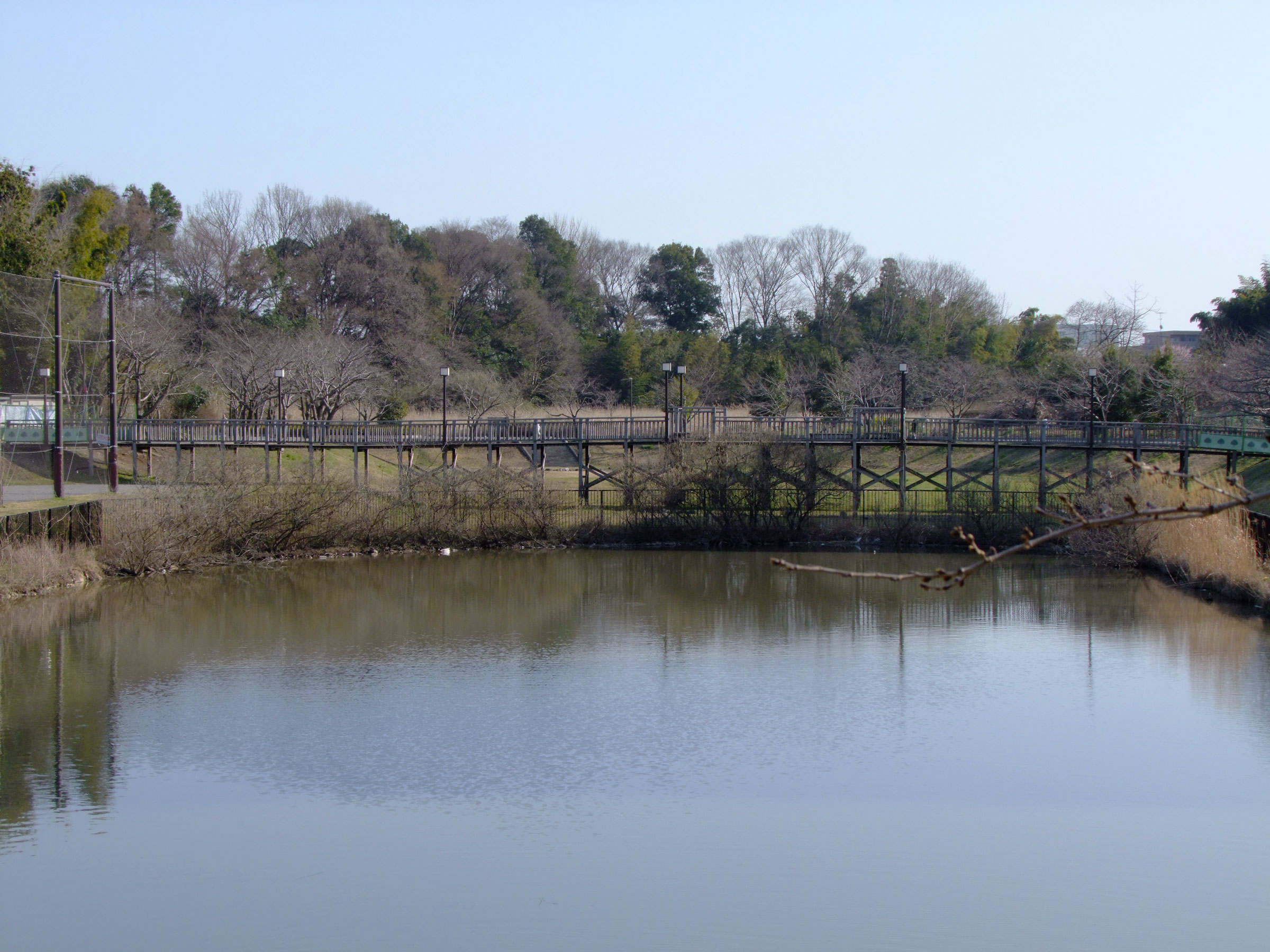 写真3（滝沼川第2遊水池）