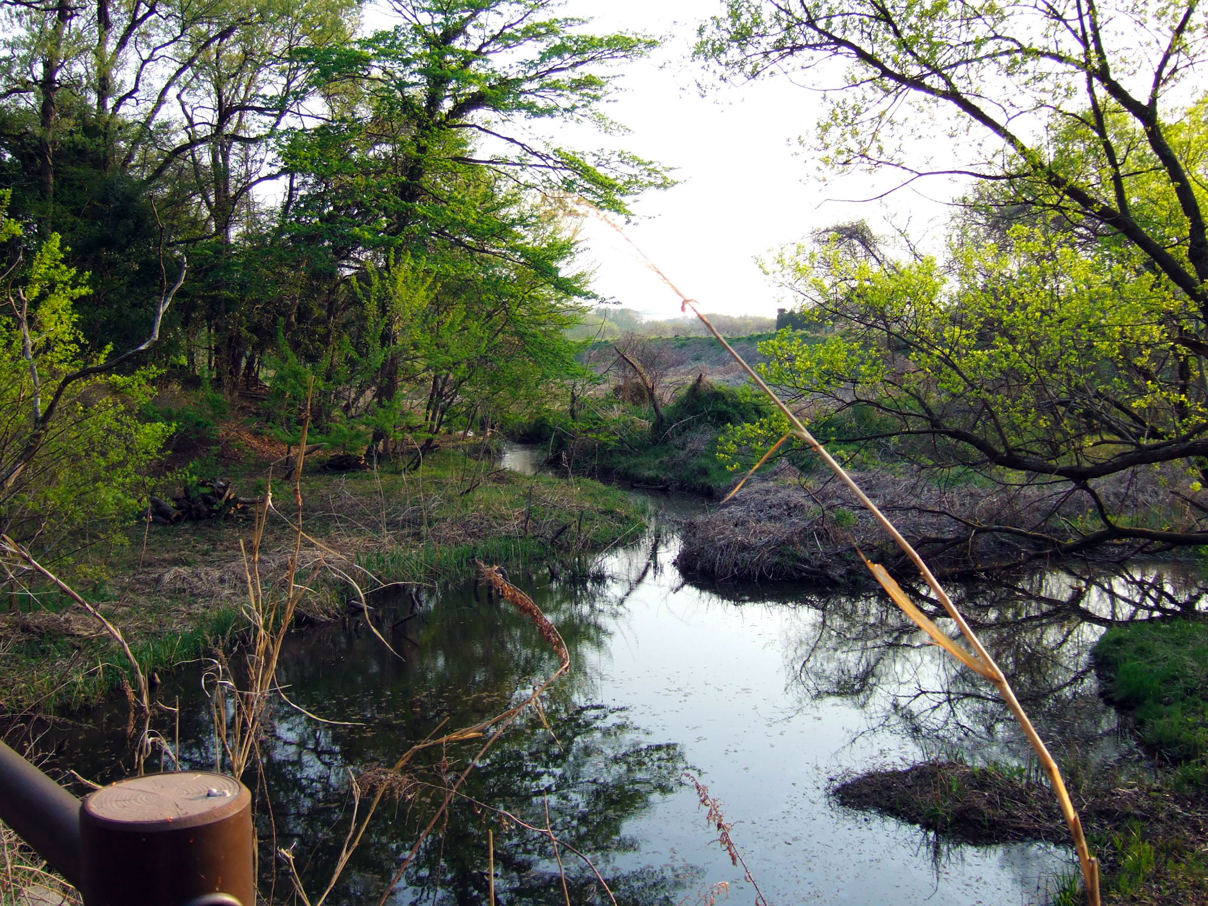 写真9（秋葉の森総合公園）