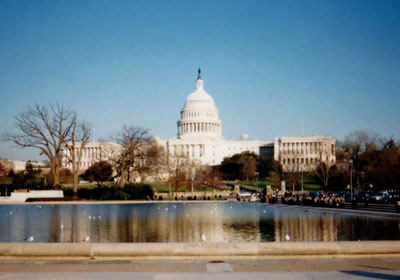 #5 ワシントンD.C. (1993)